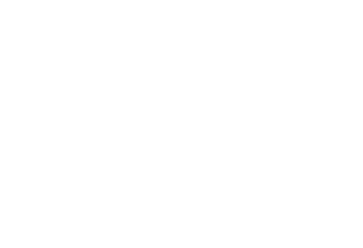 Logo Irene Starzengruber white